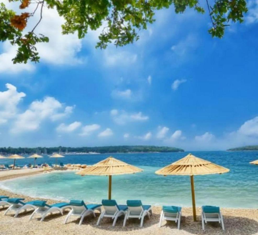New!!! 2024 Marea Apartments With Xxl Sunny Terrace Poreč Exteriör bild